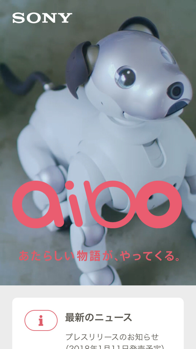aibo