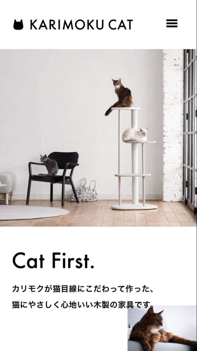 KARIMOKU CAT