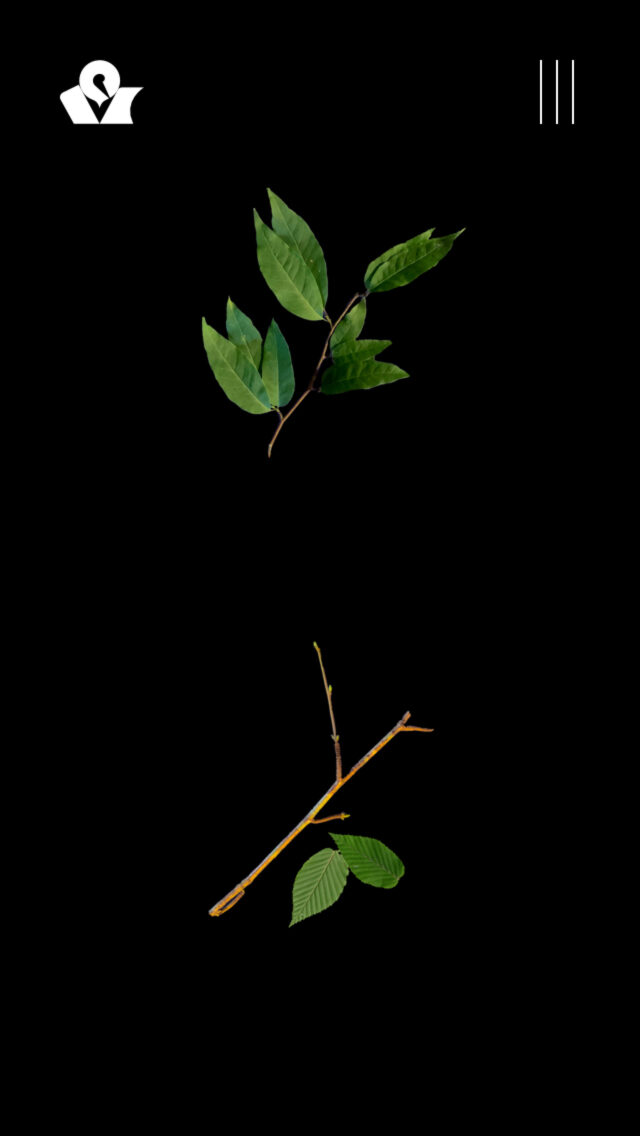 日本草木研究所