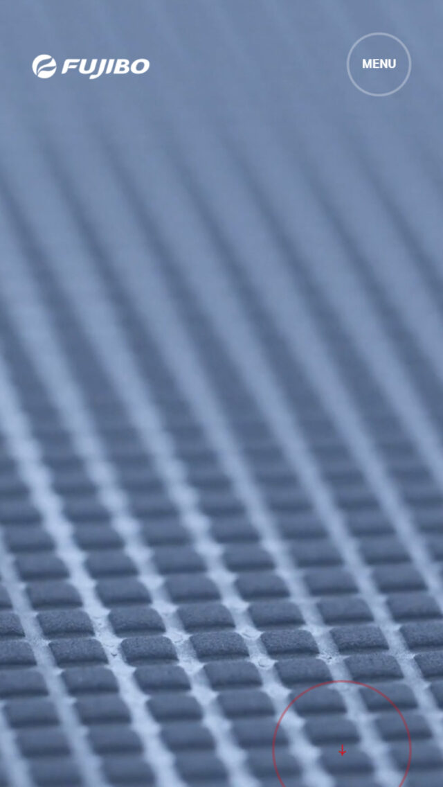 富士紡ホールディングス FUJIBO