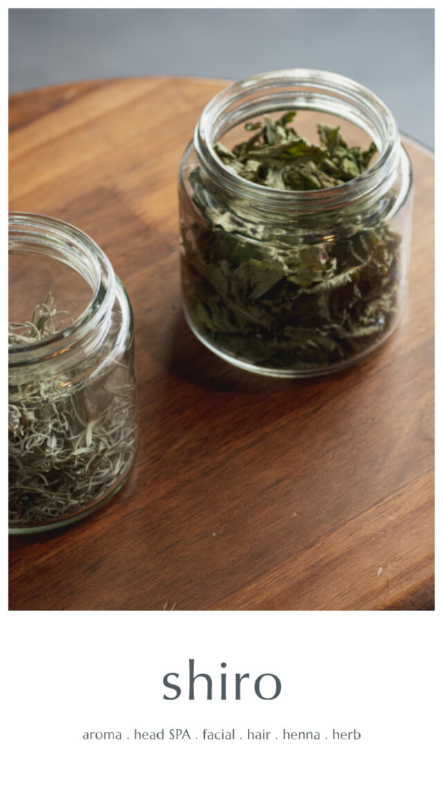 shiro