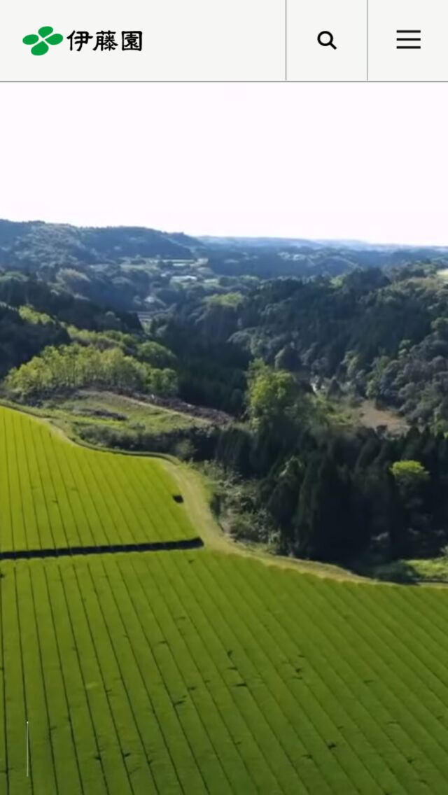 伊藤園 企業情報
